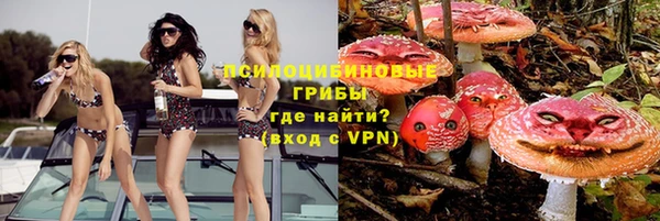 амф Алексеевка